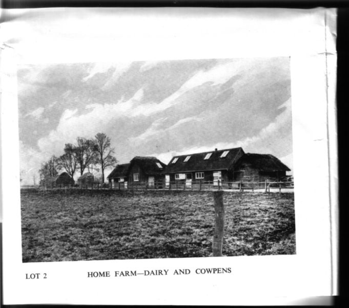 File:Home farm dairy and cowpens 1951.jpg